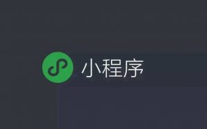 小程序搜索優(yōu)化指南(SEO)來了！